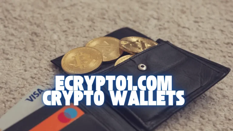 Ecrypto1.com Crypto Wallets